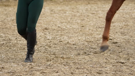 Close-up-of-a-horse's-legs-trotting-on-a-sandy-arena-surface