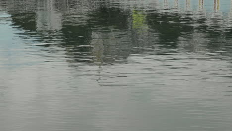 Reflections-Over-Tranquil-Waters-On-Wellington-Waterfront-In-North-Island,-New-Zealand