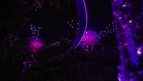 Lichtshow-Der-Gardens-By-The-Bay-Bei-Nacht-In-Singapur---Aufnahme-Aus-Niedriger-Perspektive