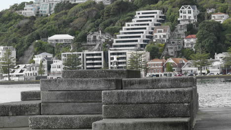 Möwe-Thront-Auf-Betonfertigteilen-Mit-Mount-Victoria-Vorort-Im-Hintergrund