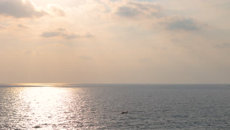 Scenic-seascape-view-with-sunset-reflection-on-surface-and-gliding-seagulls