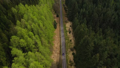 Aerial-lift-up-shot-of-car-driving-along-the-road-between-the-green-pine-tree-forest-revealing-beautiful-loch-and-hills-in-Scottish-highlands,-Scotland,-United-Kingdom