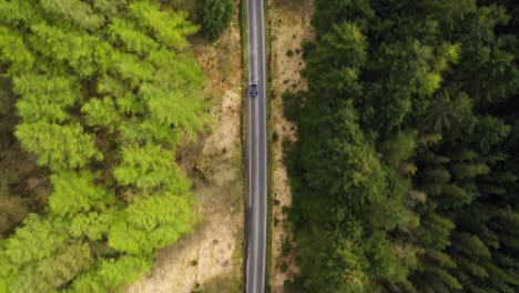 Toma-Aérea-Cinematográfica-De-Arriba-Hacia-Abajo-De-Un-Automóvil-Circulando-Por-La-Carretera-Entre-Un-Hermoso-Bosque-De-Coníferas