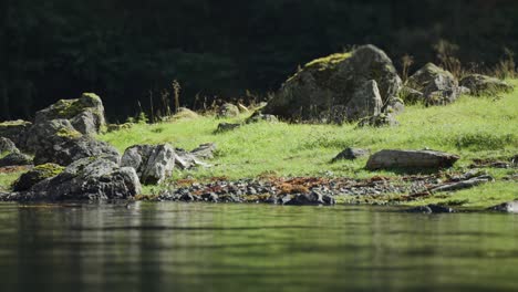 Grüne-Felsige-Küsten-Des-Naeroy-Fjords