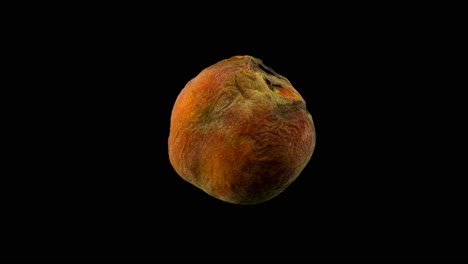 Timelapse-of-a-rotting-peach-against-a-black-background