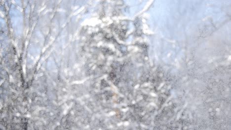 Winterlandschaft-Bei-Schneefall.-Abstrakter-Hintergrund-Für-Winterweihnachten-In-Superzeitlupe.