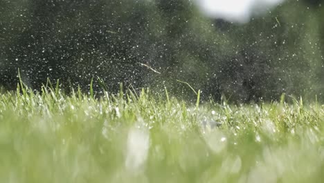 Der-Golfschläger-Schlägt-In-Superzeitlupe-Auf-Einen-Golfball.-Nach-Dem-Aufprall-Steigen-Morgentautropfen-Und-Graspartikel-In-Die-Luft.