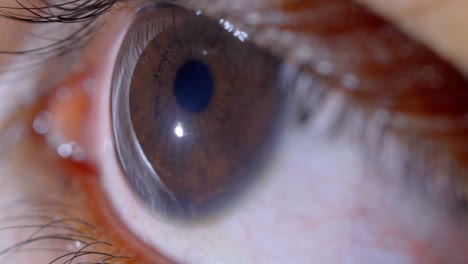 brown-eye-extreme-close-up