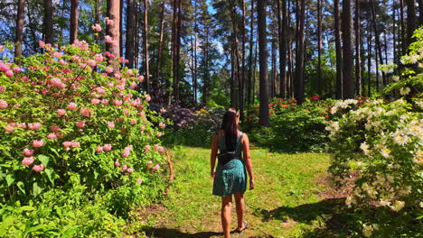 Attractive-young-woman-walking-surrounded-with-flower-bushes,-back-slow-motion-view