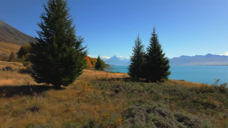 Monte-Cook,-Aoraki,-Entre-Los-árboles-Y-Cruzando-El-Lago-Glacial-Pukaki