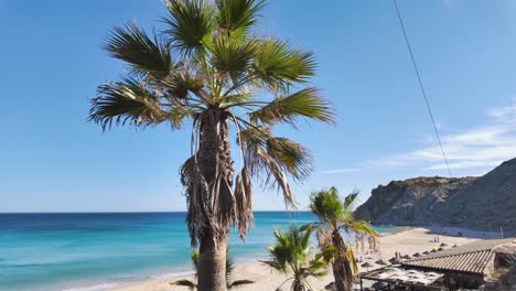 Beautiful-sandy-beach-in-Burgau,-Portugal,-featuring-tall-palm-trees-and-stunning-clear-blue-water-on-a-sunny-day