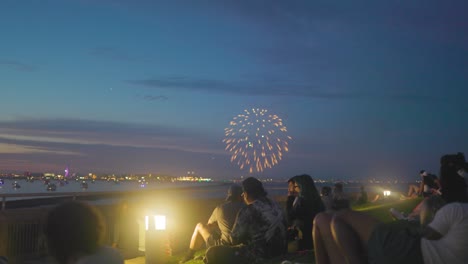 Group-of-people-gathered-on-a-grassy-area-near-a-body-of-water,-enjoying-a-vibrant-fireworks-display-in-the-evening-sky-during-the-4th-of-July