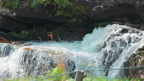 Trout-climbing-upstream-on-the-cascade-at-the-Tvindefossen-waterfall,-Norway