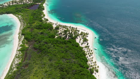 Palmengesäumte-Küste-Mit-Bezauberndem-Tropischen-Strand-Auf-Der-Insel-Cayo-Sombrero-In-Morrocoy,-Venezuela