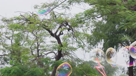 Niña-Hace-Burbujas-De-Jabón-Soplando-Aire-En-El-Parque,-Cámara-Lenta