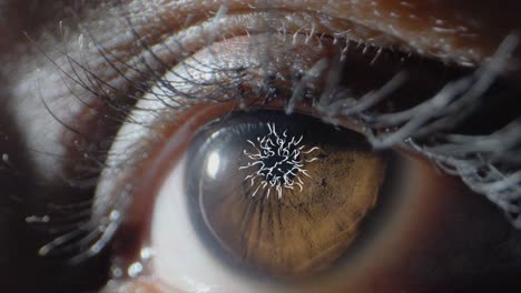 larva-in-Eye-Graphic-Stock-video-extreme-closeup-view