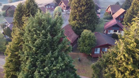 Drone-descending-near-pine-trees-with-European-style-cottages-in-the-background