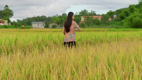 Joven-Agricultora-Vietnamita-Sembrando-Semillas-En-Una-Plantación-De-Arroz-En-Asia-Trabajando-En-Tierras-Agrícolas