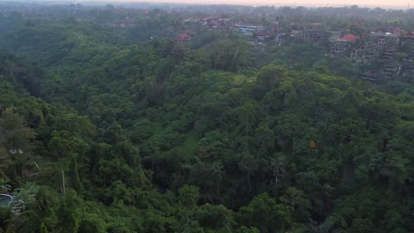 Slow-motion-view-of-the-Campuhan-Ridgewalk-with-the-green-jungle-and-hidden-buildings,-foggy-day,-copy-space