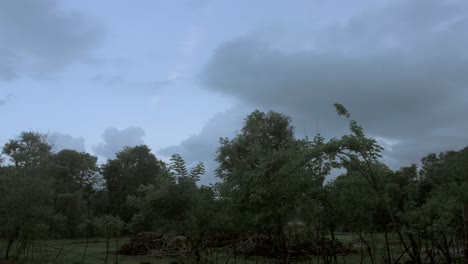 Nubes-En-Movimiento-En-El-Bosque,-Vistas-En-Time-lapse