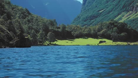 Waldbedeckte-Berge-Ragen-über-Den-Naeroy-Fjord