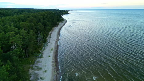 Long-coastline-drone-view-of-forest-and-ocean-separated-by-small-sandy-beach