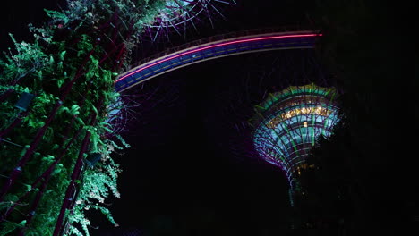 Hoch-Aufragende-Große-Vordächer-Mit-Bunten-Lichtern-In-Der-Nacht,-Supertree-Grove-In-Gardens-By-The-Bay,-Singapur