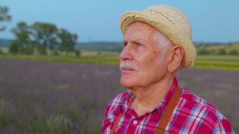 Porträt-Eines-älteren-Landwirts,-Der-Großvater-Auf-Einem-Biofeld-Mit-Violetten-Lavendelblüten-Züchtet