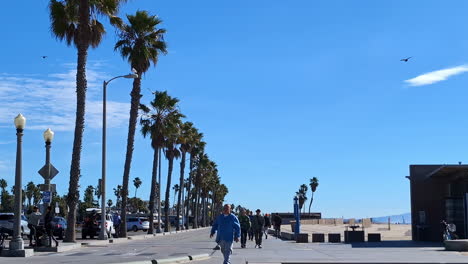 Slow-motion-shot-of-Boardwalk-of-Venica-Beach-with-palms-in-Los-Angeles,-USA