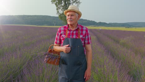 Hombre-Mayor-Abuelo-Agricultor-Cultivando-Plantas-De-Lavanda-En-El-Jardín-De-Hierbas,-Saludando-Con-Las-Manos