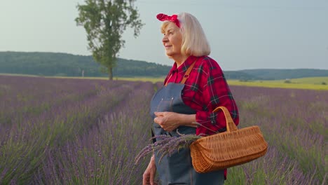 Mujer-Campesina-Senior-Girando-Cara-A-Cámara-Y-Sonriendo-En-El-Campo-De-Lavanda-Pradera-Flor-Jardín-De-Hierbas