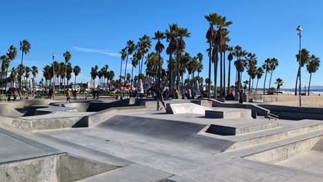 Shot-of-a-local-skateboarder-practicing-his-craft-in-the-iconic-skate-park-in-Venice-Beach-with-palm-trees-at-background-in-Los-Angeles,-USA