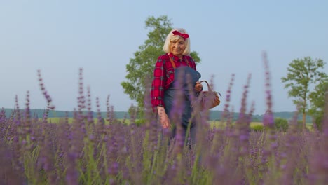 Ältere-Großmutter-Bäuerin-Sammelt-Lavendelblüten-Im-Sommerkräutergarten,-Öko-Bauernhof