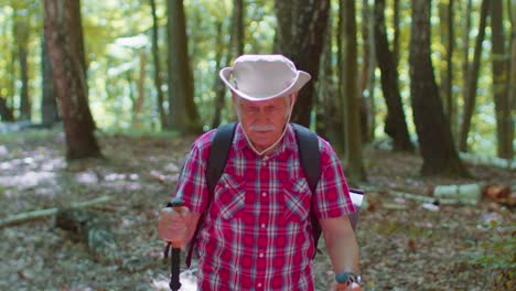 Abuelo-Turista-Anciano-Entrenando-Marcha-Nórdica-Con-Bastones-De-Esquí,-Senderismo-En-Madera