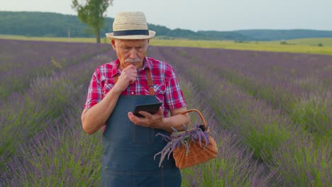 Senior-farmer-grandfather-growing-lavender,-holding-digital-tablet-and-examining-harvest-in-field