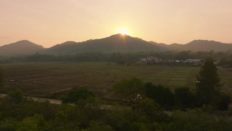 4K-aerial-drone-footage-of-sunrise-over-the-rice-fields-in-Thailand,-Asia,-Koh-Yao-Noi