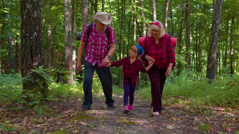 Active-senior-grandmother-grandfather-tourists-walking-hiking-with-granddaughter-in-summer-wood