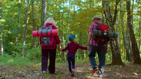 Aktive-Senior-Großmutter-Großvater-Touristen-Wandern-Mit-Enkelin-Im-Sommer-Wald