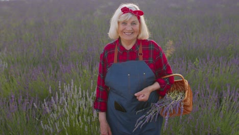 Senior-woman-grandmother-farmer-growing-gardening-lavender-plant-in-herb-garden,-waving-hands-hello