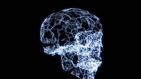 wireframe-skull-concept-loop-animation-video-with-alpha-channel