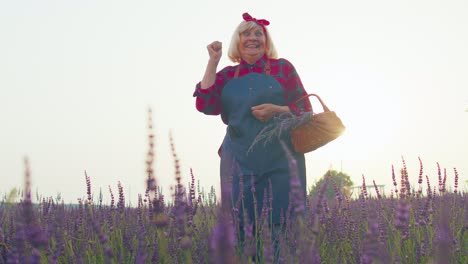 Senior-farmer-grandmother-woman-in-field-growing-lavenders,-celebrating-success,-winning-gesture