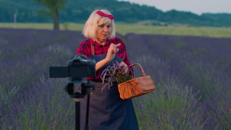 Senior-woman-grandmother-blogger-recording-video-vlog-tutorial-in-field-of-purple-lavender-flowers