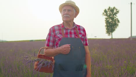 Senior-farmer-man-turning-face-to-camera-and-smiling-in-lavender-field-meadow-flower-herb-garden