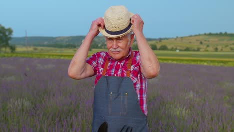 Abuelo-Mayor-Hombre-Agricultor-Cultivando-Lavanda-En-Flores-Florecientes-Campo-De-Flores-De-Lavanda-Púrpura