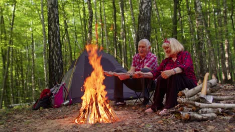 Senior-ältere-Großmutter-Großvater-Kochen-Braten-Würstchen-über-Lagerfeuer-Im-Holz-Beim-Camping