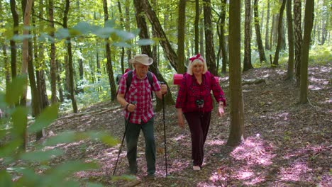 Happy-senior-man-and-woman-talking,-training-Nordic-walking-with-trekking-poles,-backpacks-in-wood