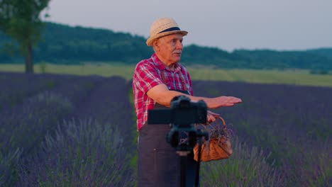 Älterer-Mann,-Großvater,-Blogger,-Der-Ein-Video-Vlog-Tutorial-Im-Lavendelfeld-Im-Garten-Aufzeichnet