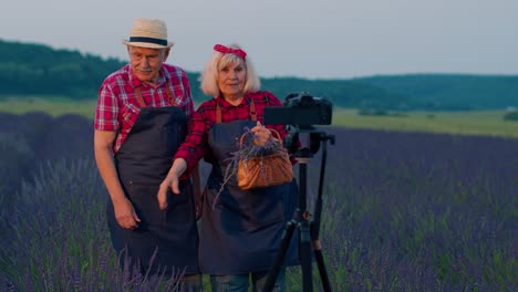 Elderly-grandmother-grandfather-bloggers-recording-video-vlog-tutorial-in-field-of-lavender-flowers