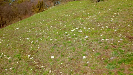 Alpine-Stone-Meadow-In-The-Countryside---Drone-Shot