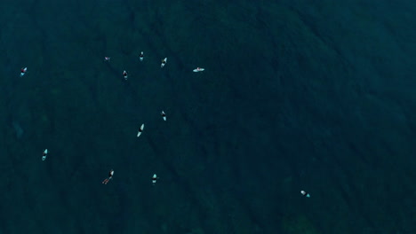 Drone-top-down-aerial-of-surfers-waiting-in-lineup,-white-boards-in-dark-ocean-water